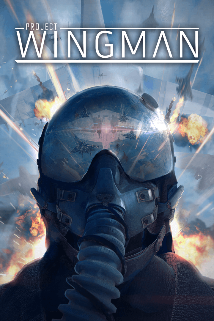Project Wingman Free PC Game Download